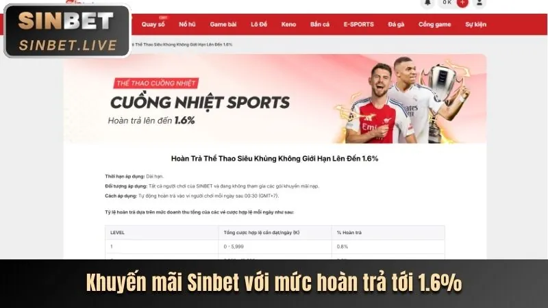 Hoàn trả hàng ngày Betvisa Online